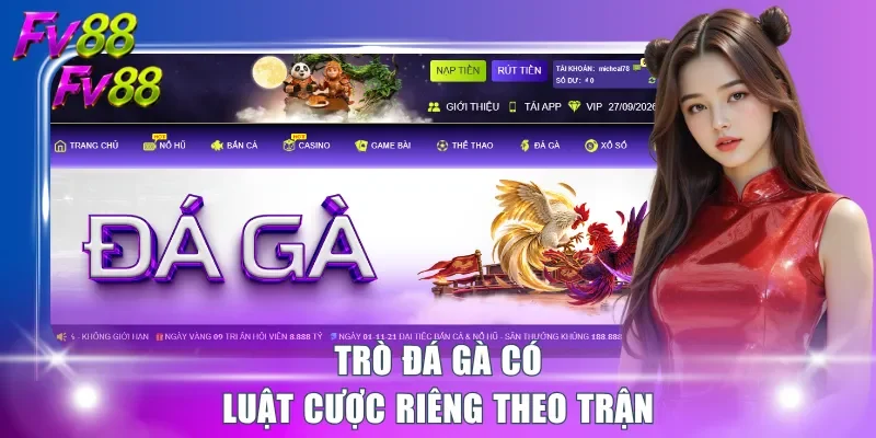 Trò đá gà có luật cược riêng theo trận
